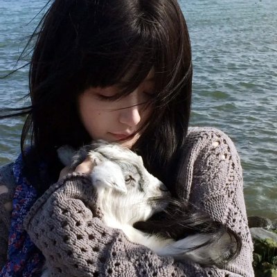 铁拳浪子